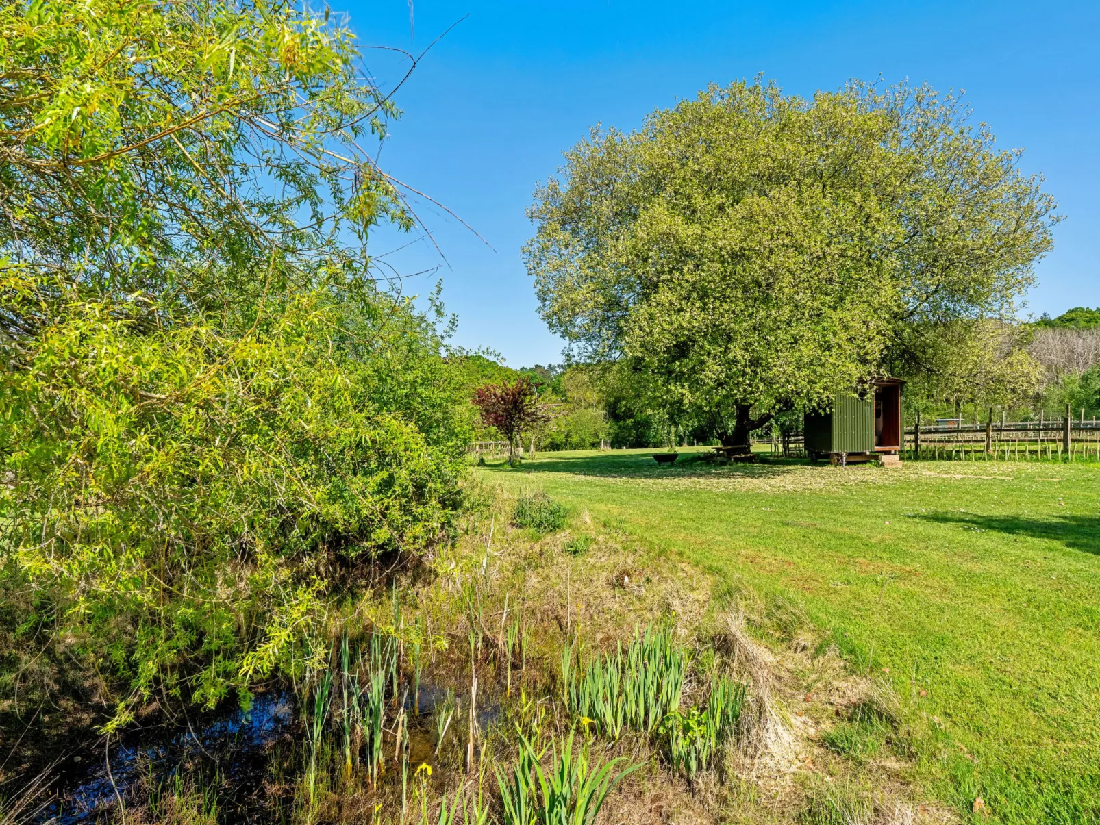 Shepherd's Hut at Hilltop Farm - Buiten