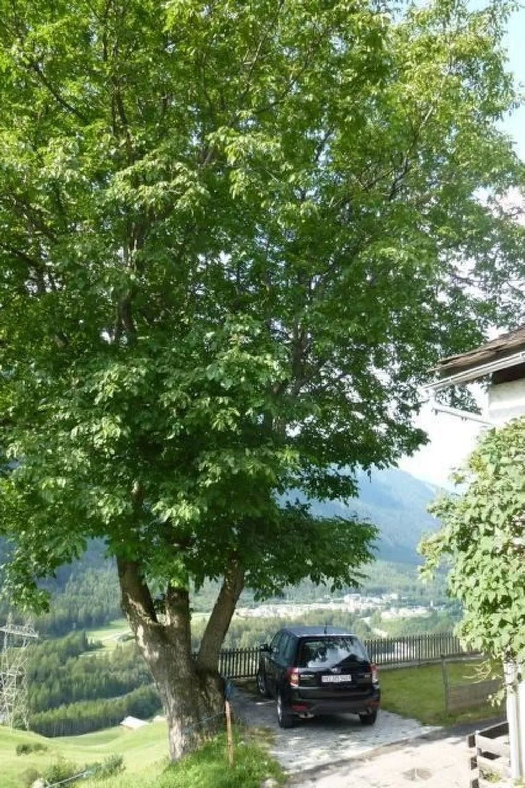 Casa Tavernela - Image-tags.info