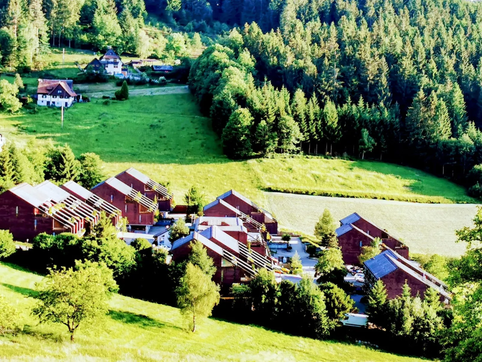 Schwarzwald Loft mit Schwimmbad und herrlicher Aussicht - Image-tags.info