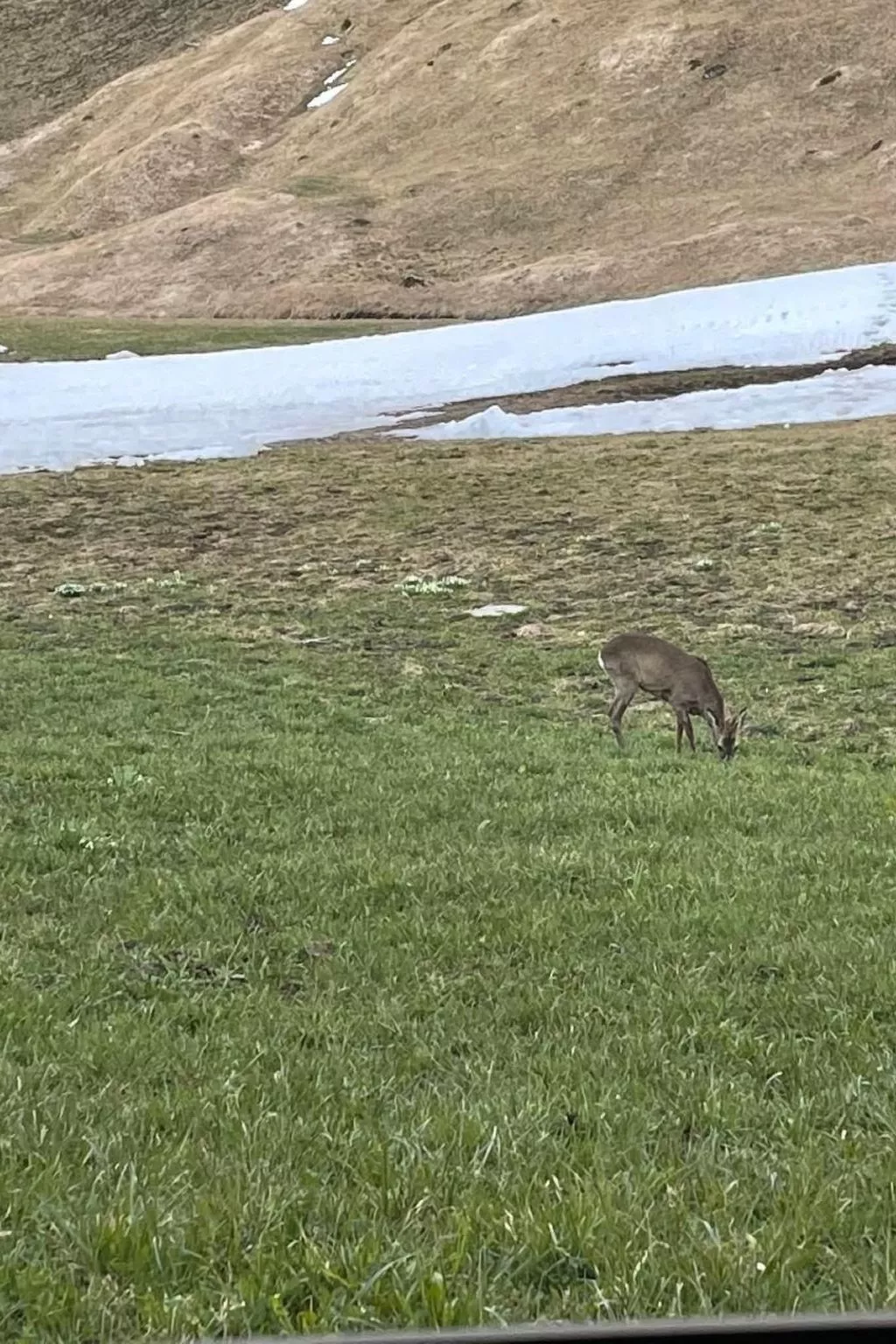 ChaletSwissalp Topof - Image-tags.info