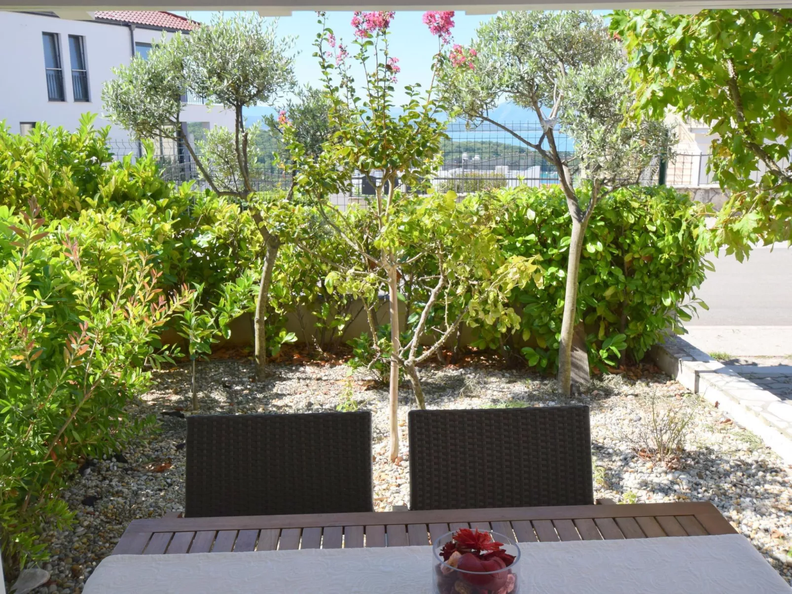 Marjolovic 2 - Image-tags.info