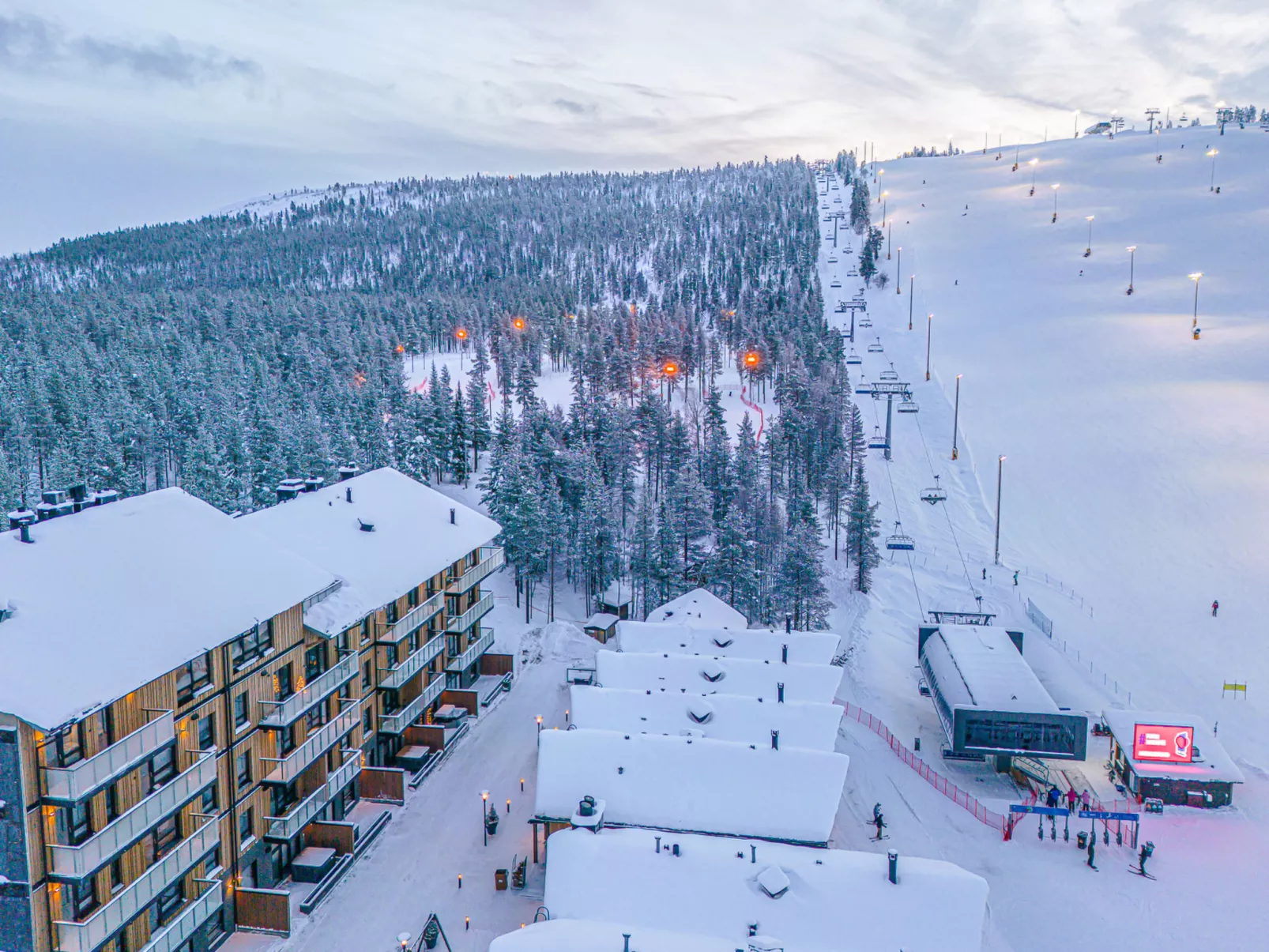 Lingonberry d11 - Binnen