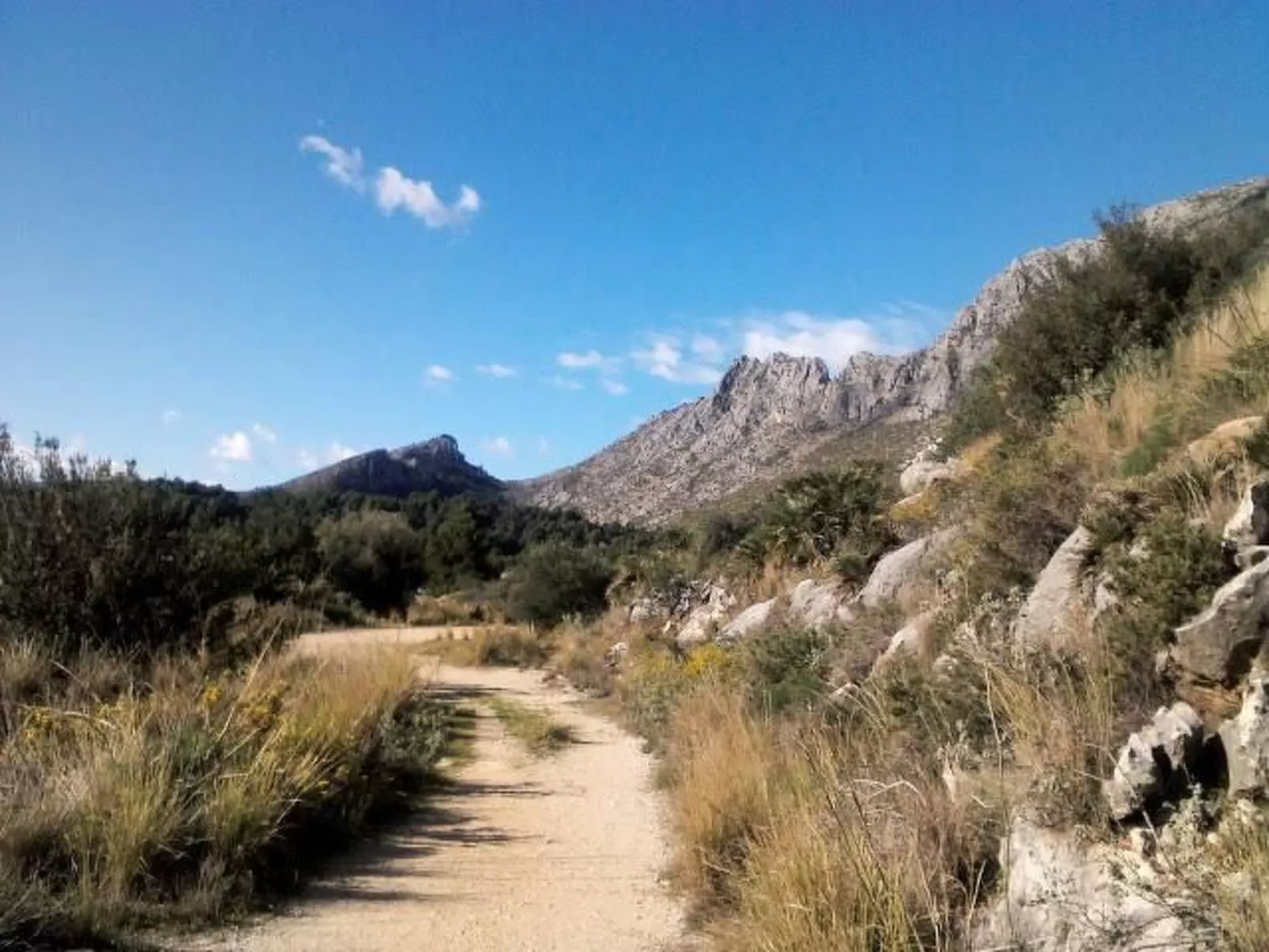 Villa im spanischen Stil mit großem Pool und ein - Buiten