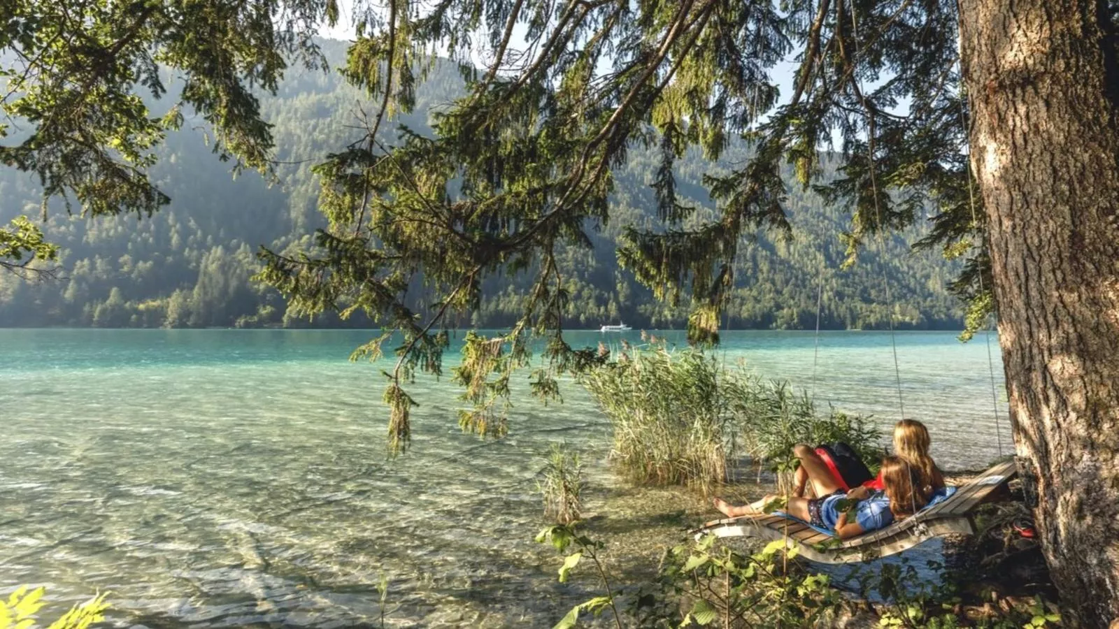 Reiteralm Top 37 - Gebieden zomer 20km
