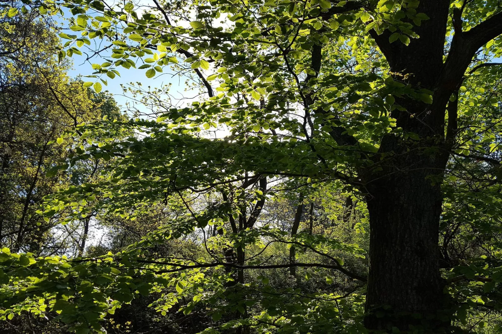 8 persoons vakantie huis in Ebeltoft-Niet-getagd