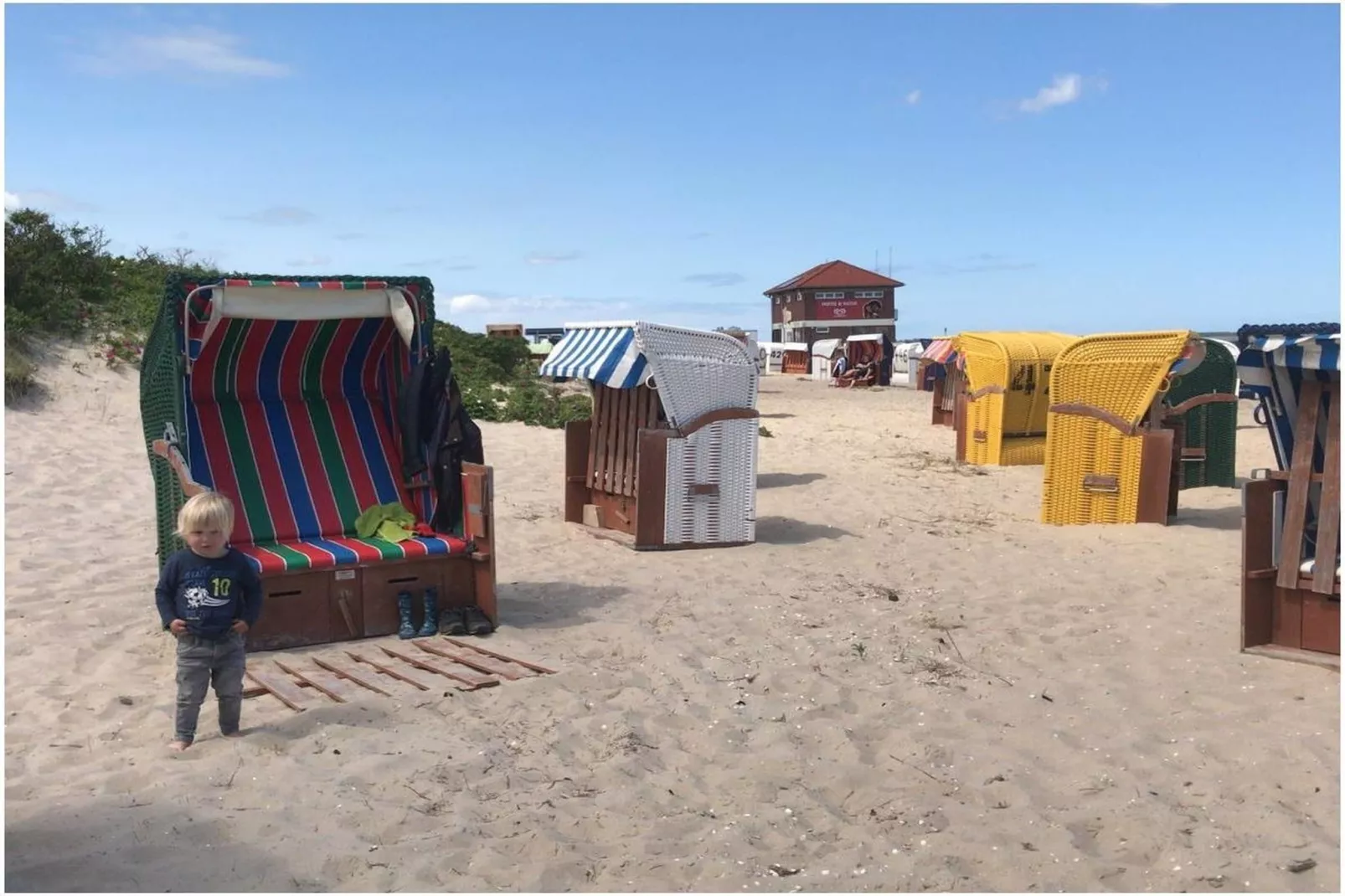 270891-Gebieden zomer 5km