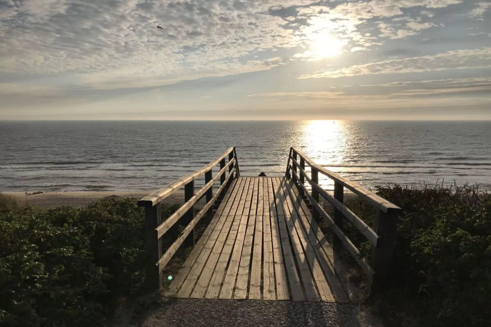 393055-Gebieden zomer 5km