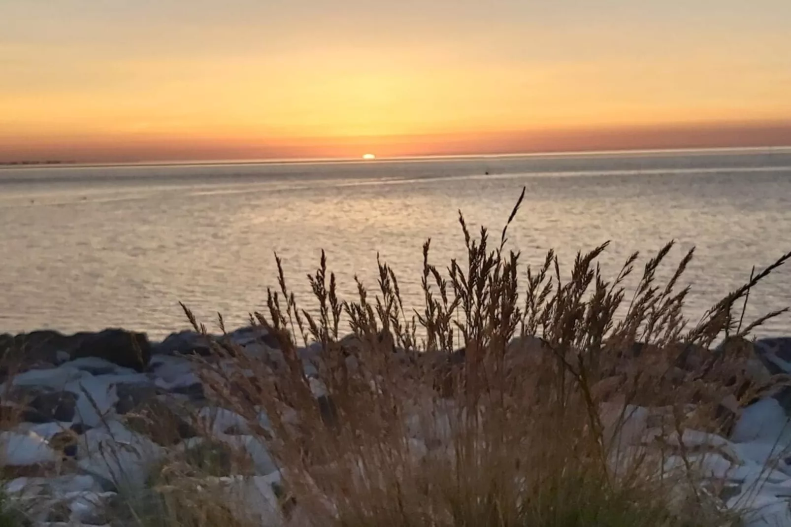 490310-Gebieden zomer 5km