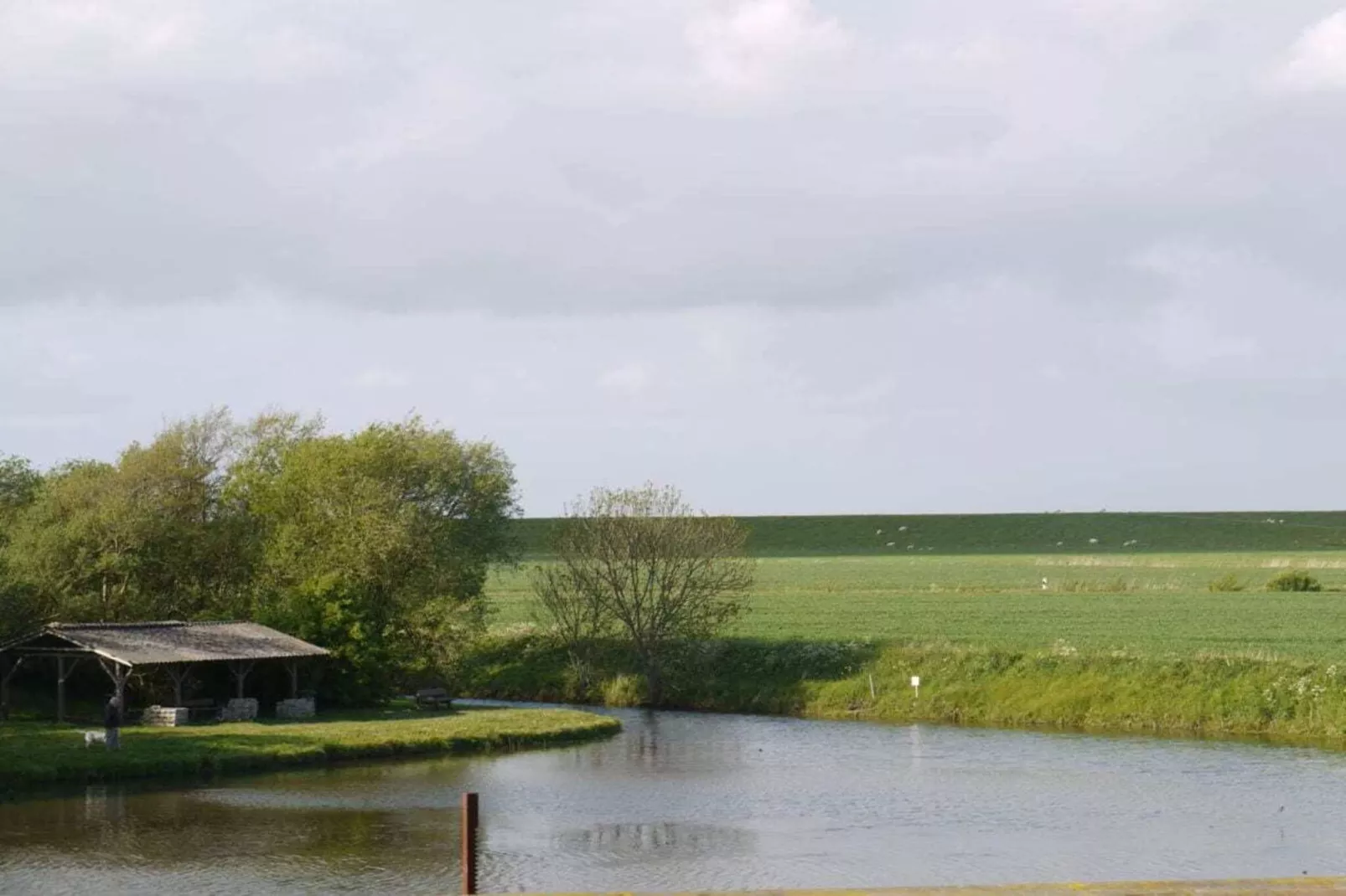 97254-Image-tags.water view