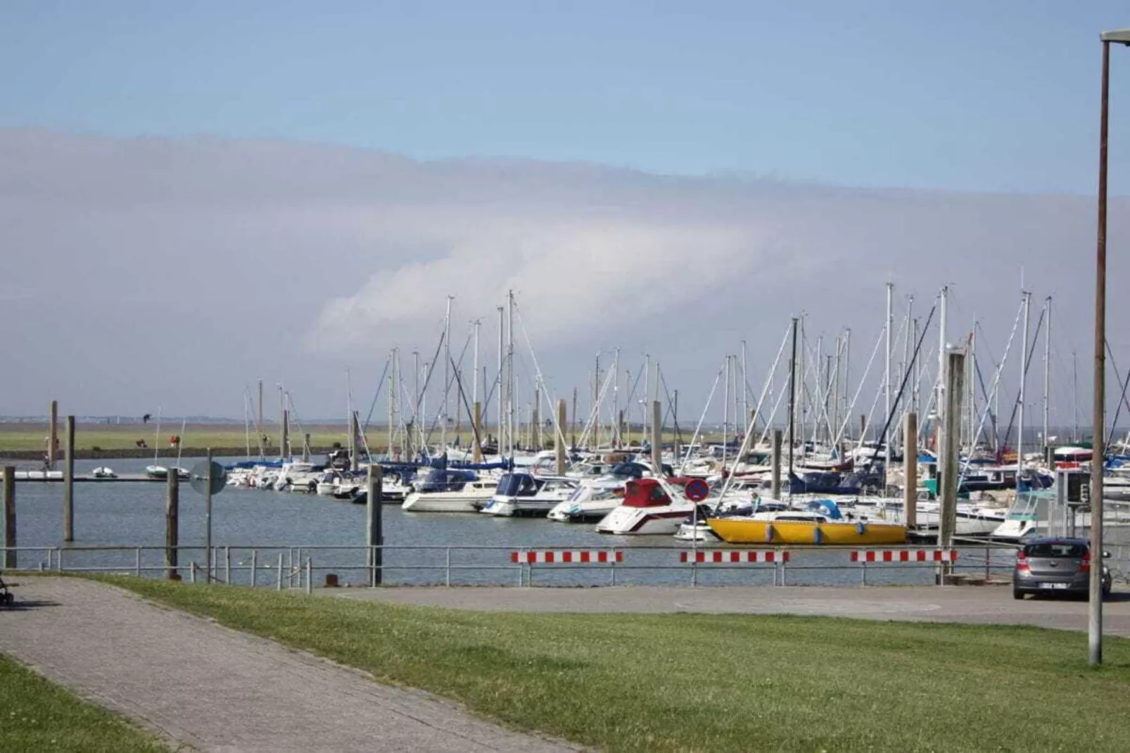 268484 - Gebieden zomer 5km