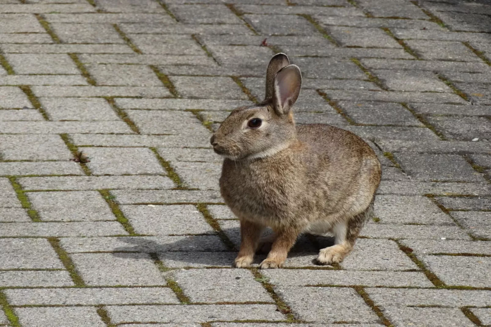 220874-Buitenkant zomer