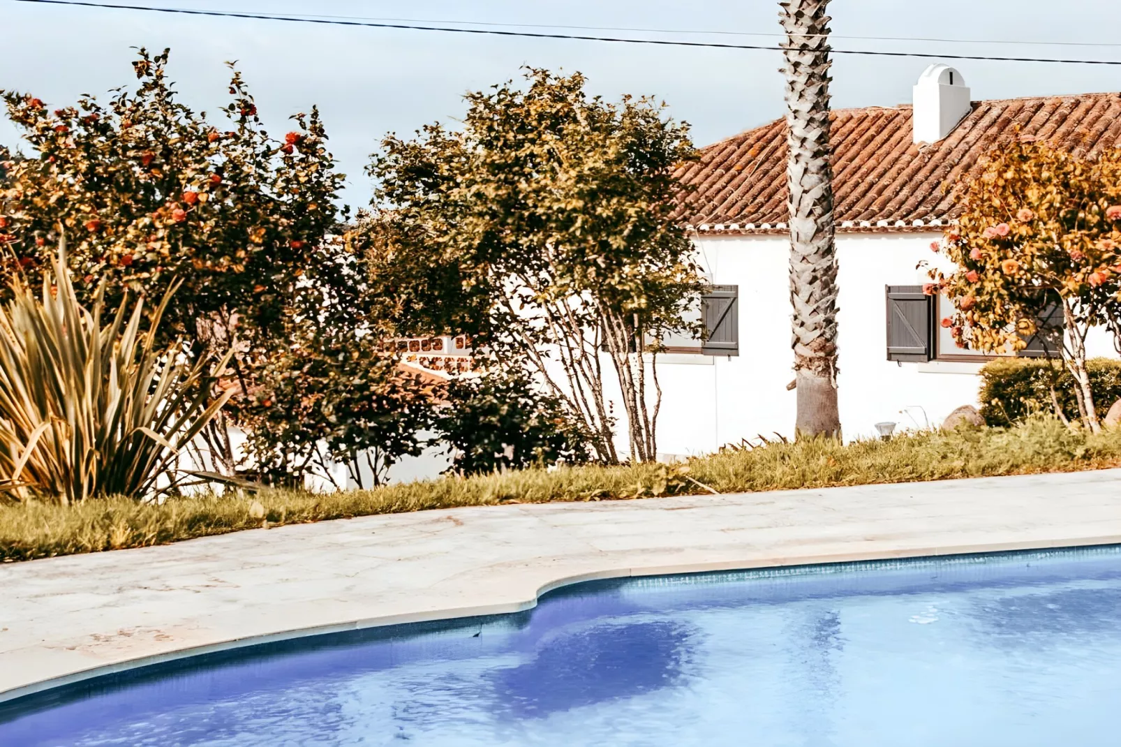 Oliveira's Houses By Gthouse-Zwembad