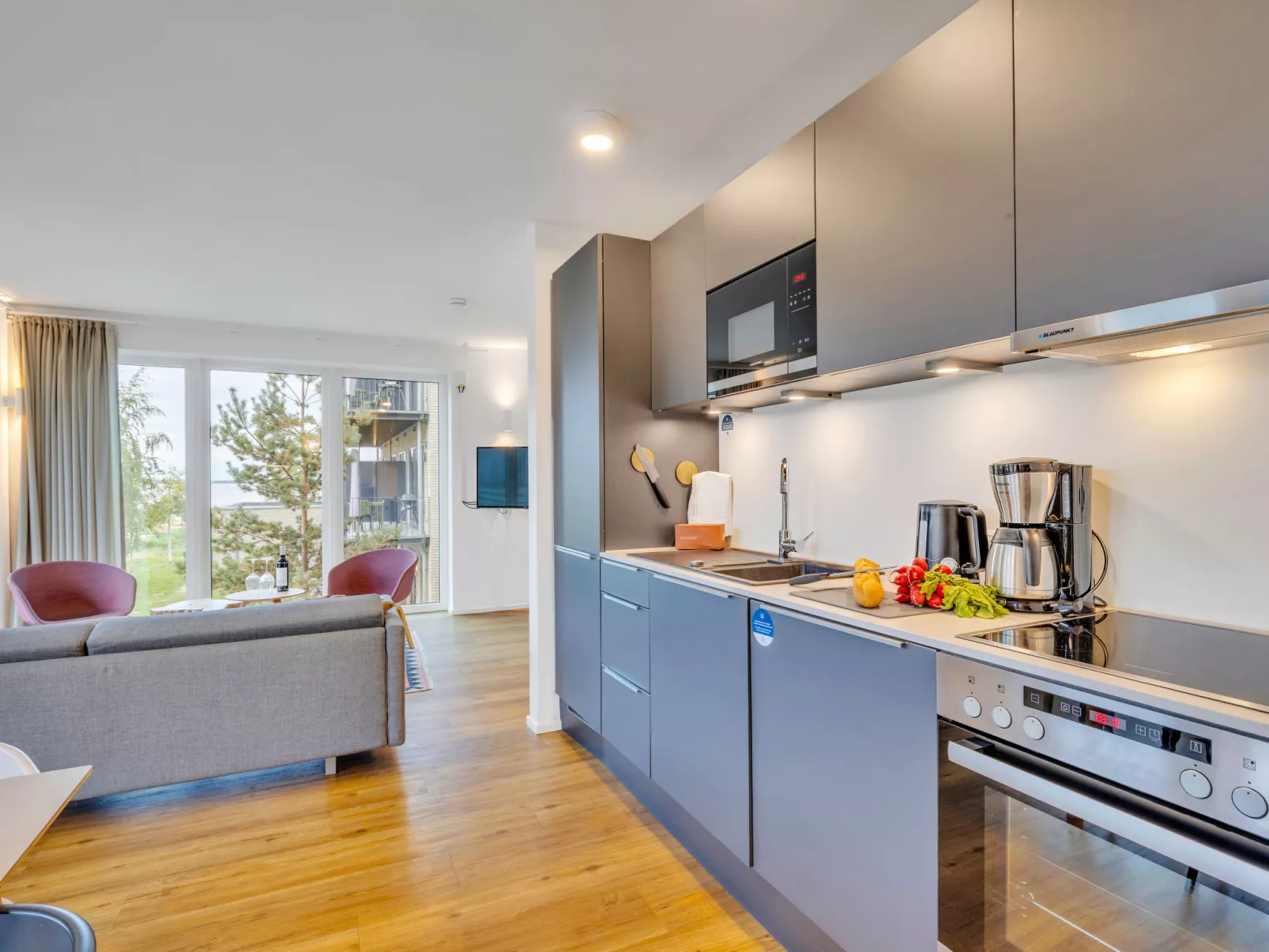 Penthouse Dümmerblick - Binnen