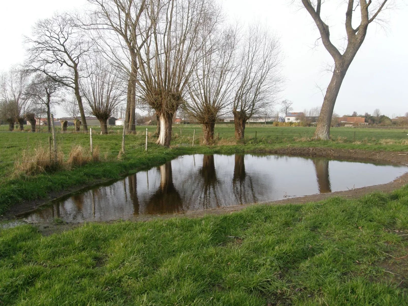 Blackthorn für 6 Personen - Image-tags.info