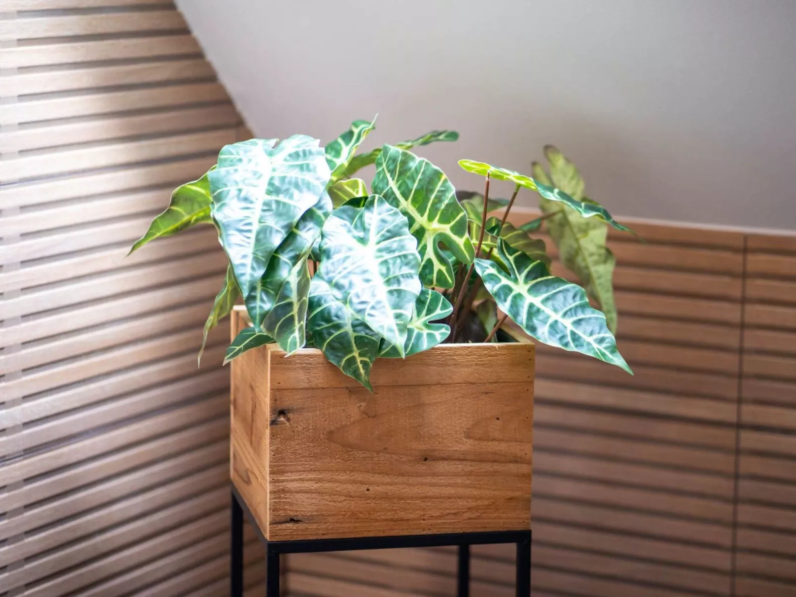 Schule Altes Land - Image-tags.info