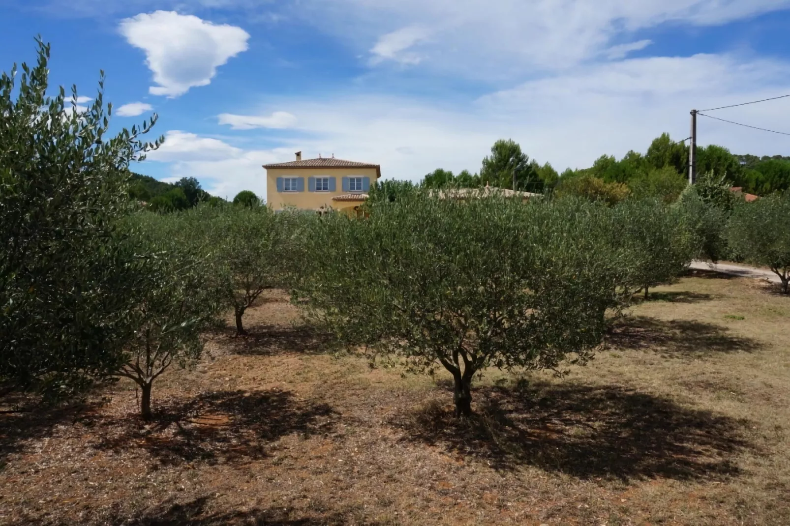 Bastide le Colombier-Tuinen zomer