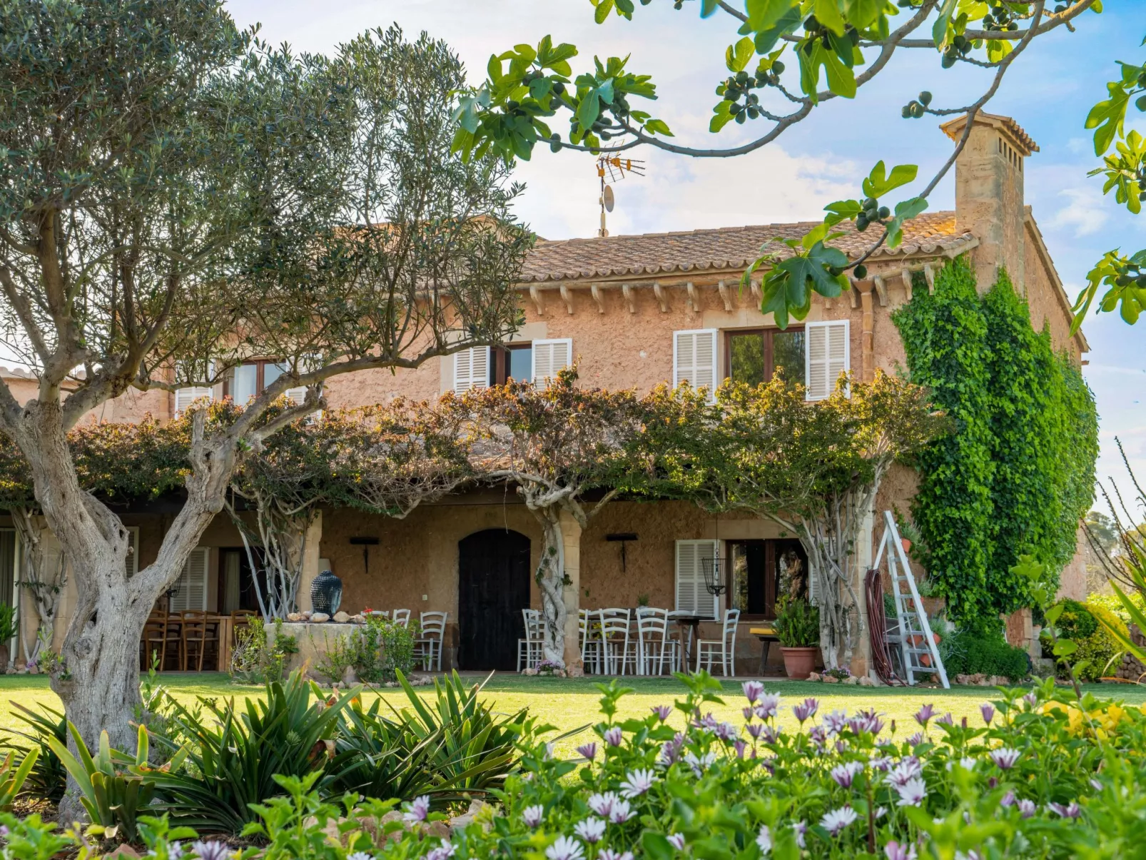 Finca Rustica Felostal - Image-tags.info