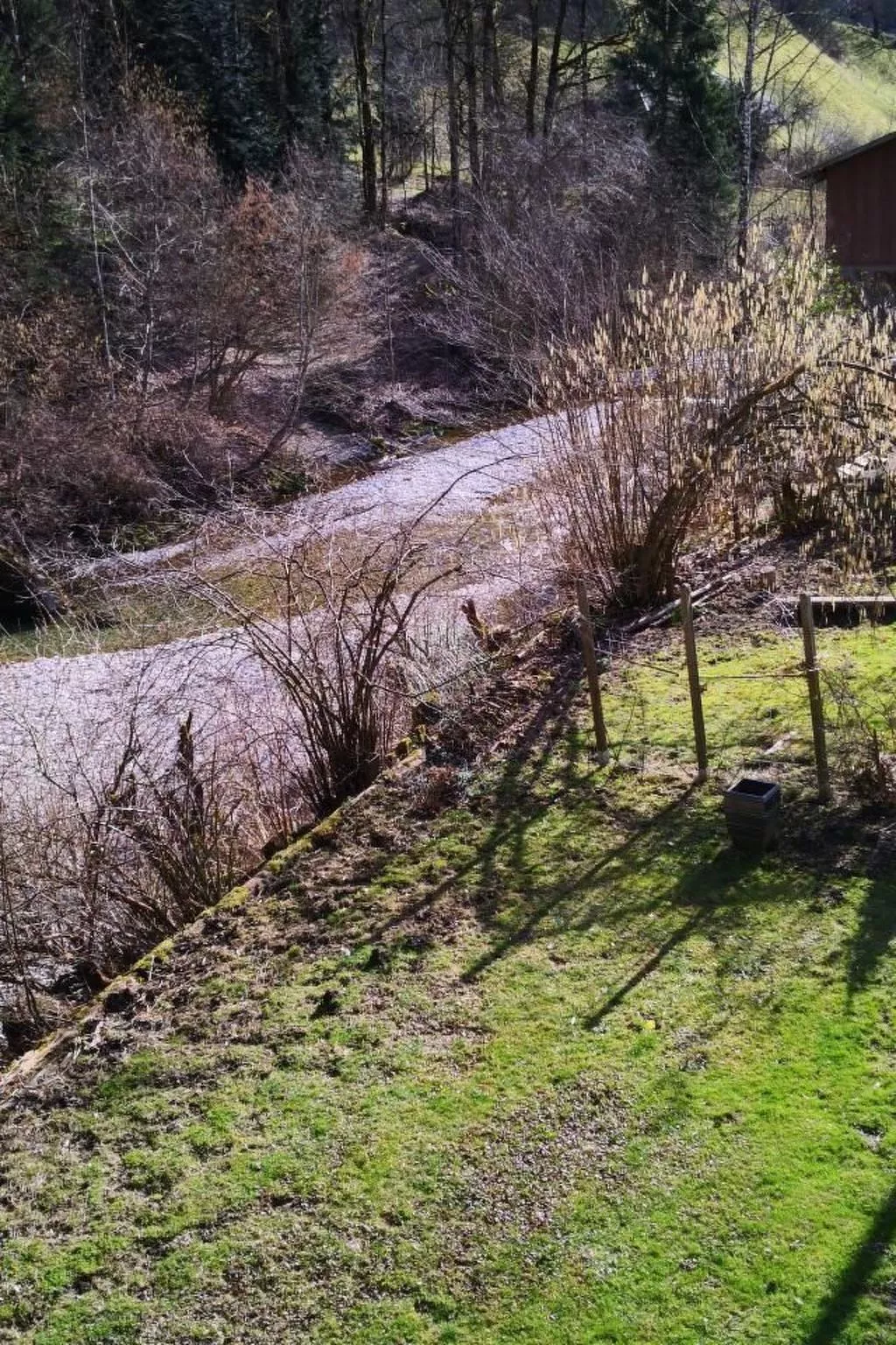 Karotte - Image-tags.info