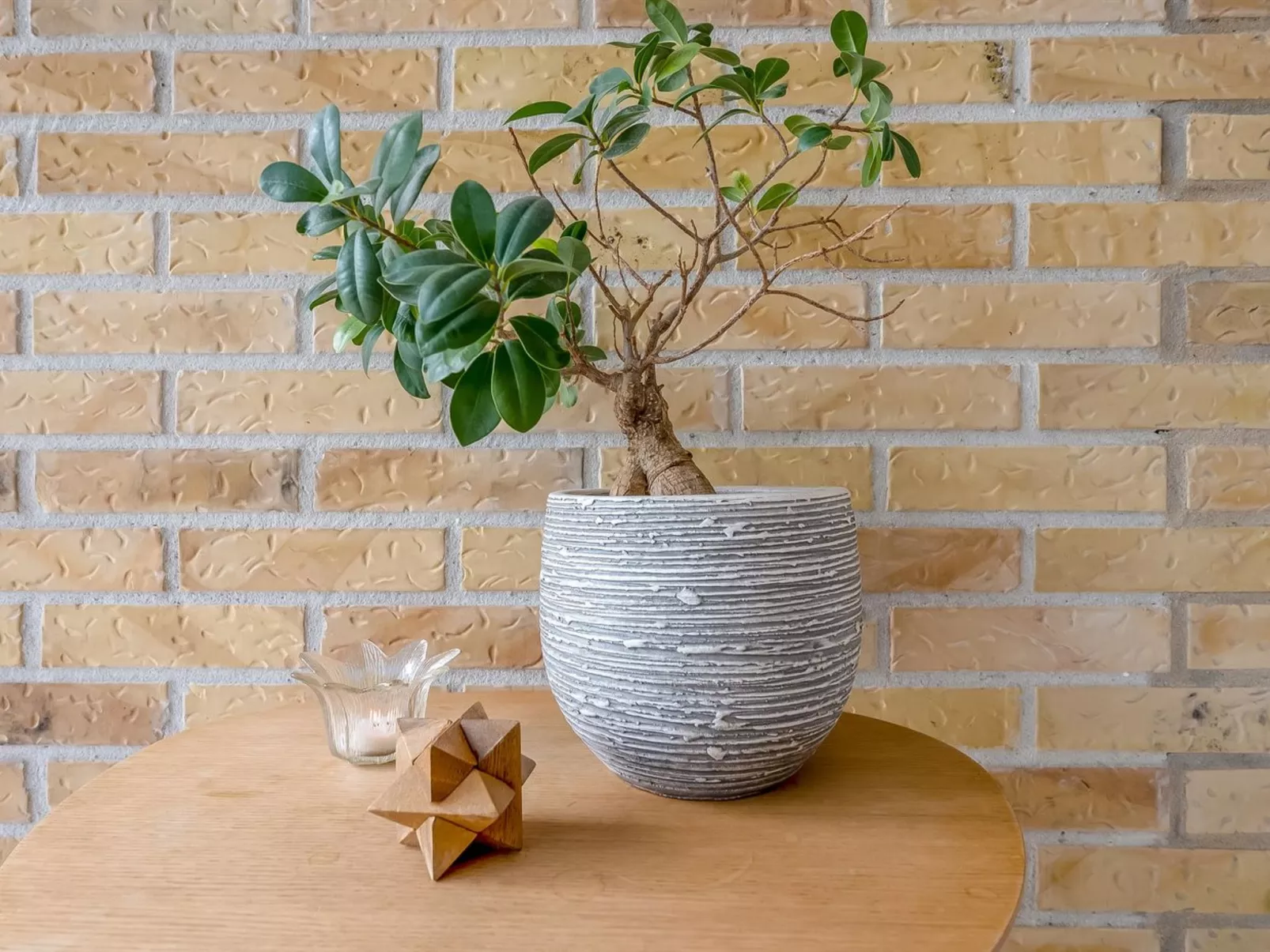 "Ellanora" - 50m from the sea - Binnen