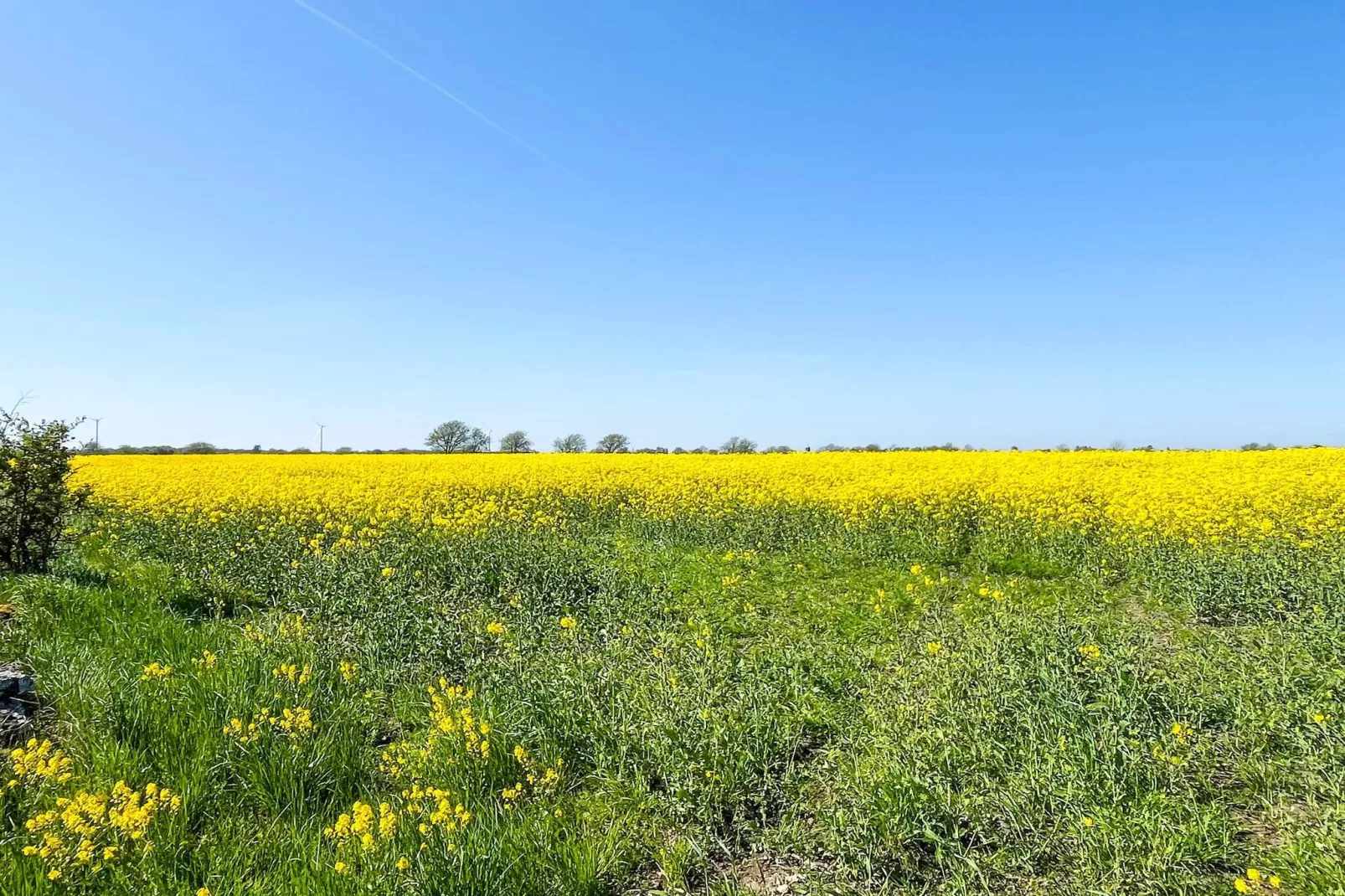 3 Personen vakantie huis in Mörbylånga - Niet-getagd