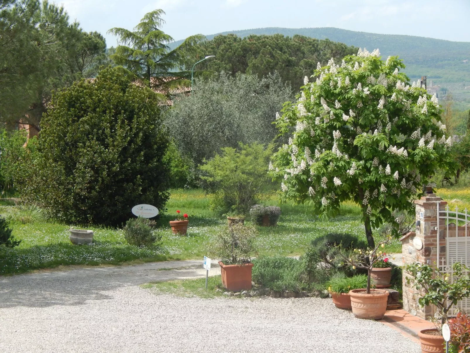 Für 3 Personen ca. 45 m&sup2; in Siena, Toskana - Buiten
