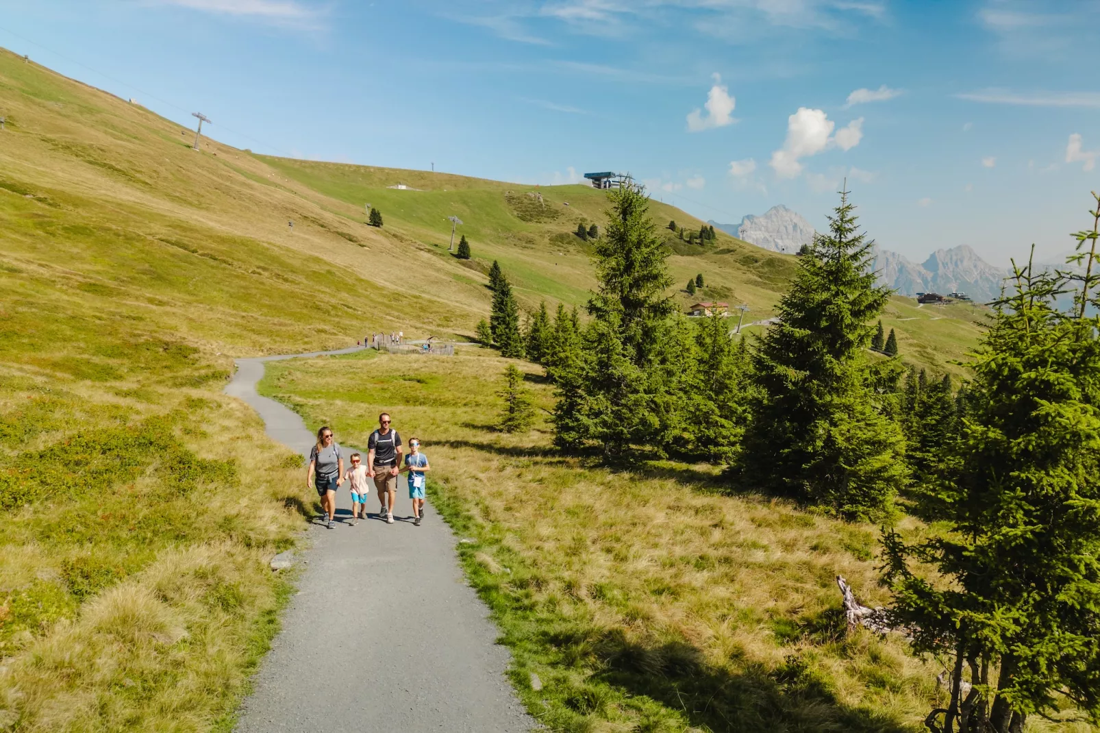 Apartment Sonnberg-Gebieden zomer 1km