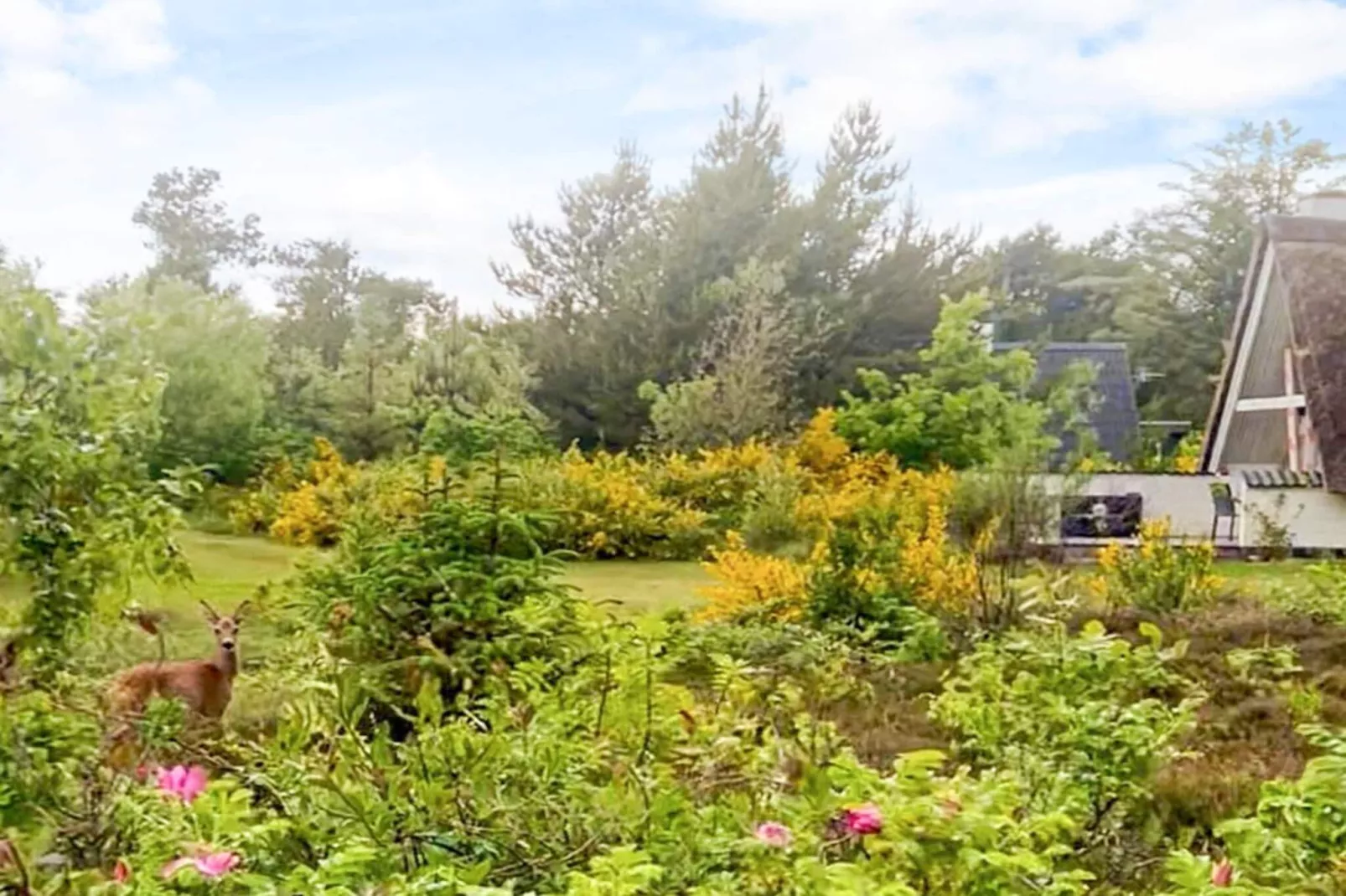 4 persoons vakantie huis in Ringkøbing-By Traum - Uitzicht