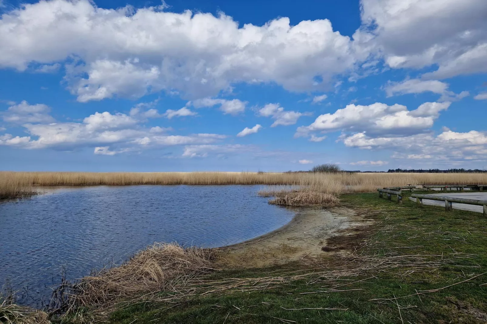 8 persoons vakantie huis in Skjern-By Traum - Waterzicht