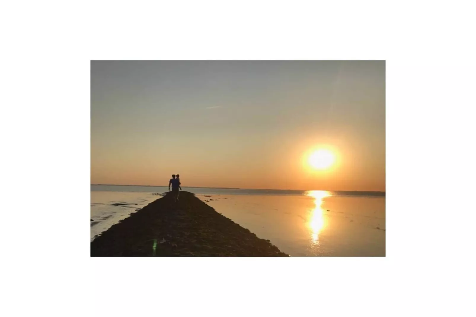 277617-Gebieden zomer 5km