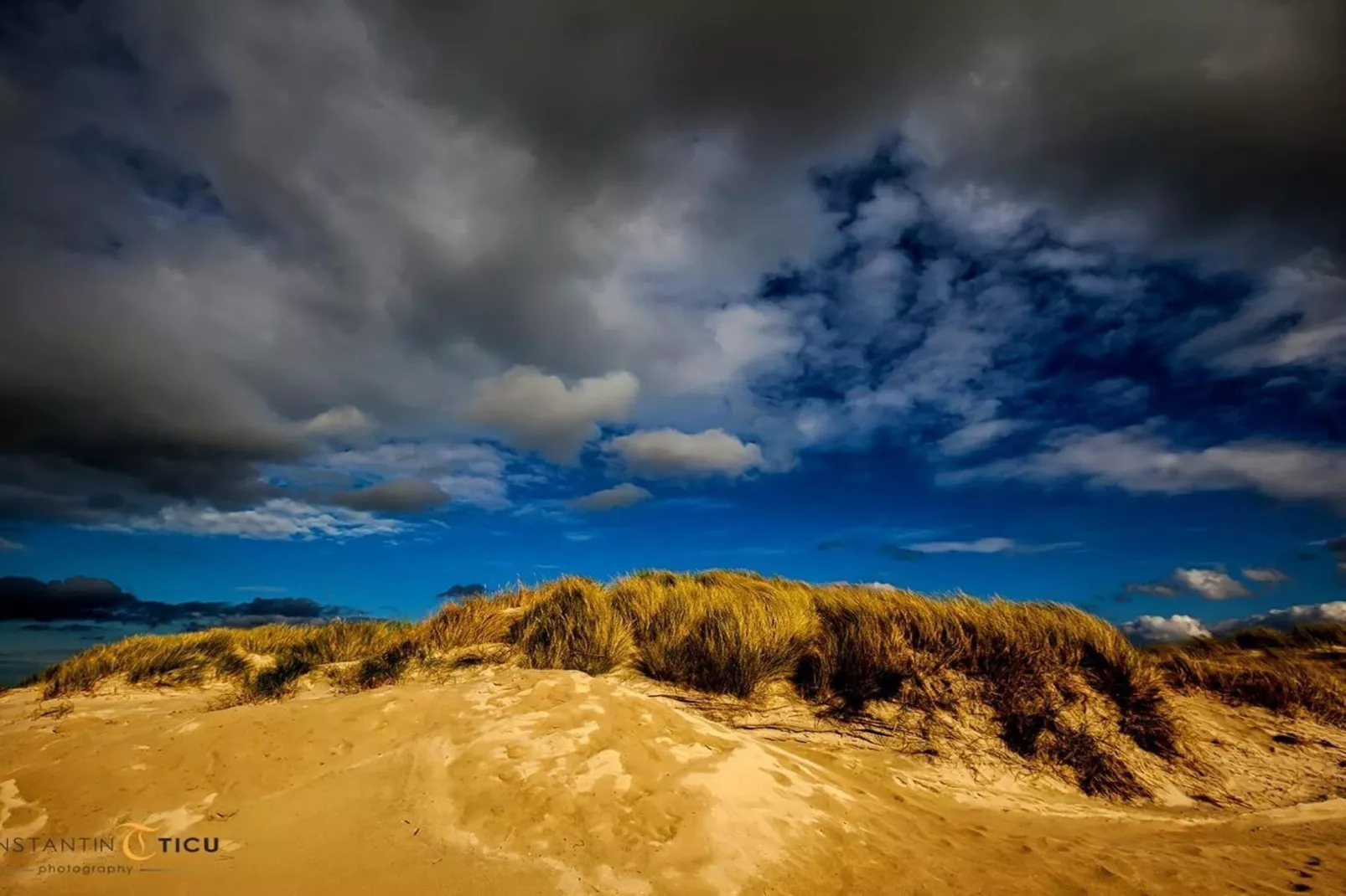 67705-Gebieden zomer 5km