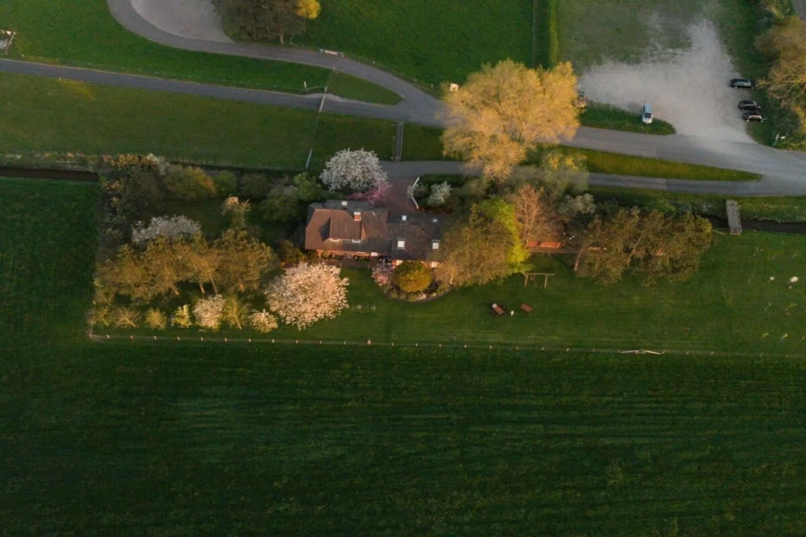 191412-Gebieden zomer 1km