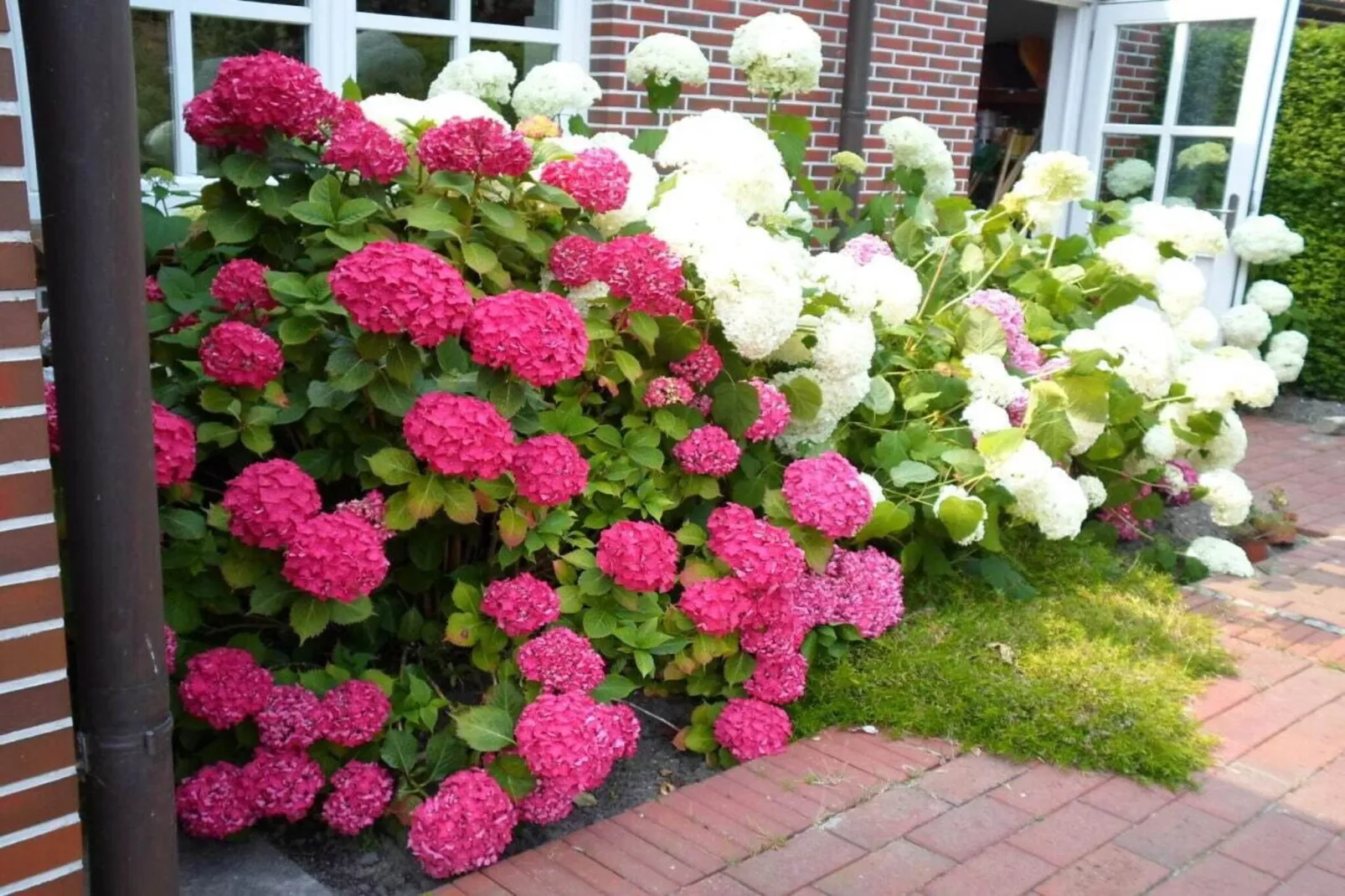 385319-Buitenkant zomer