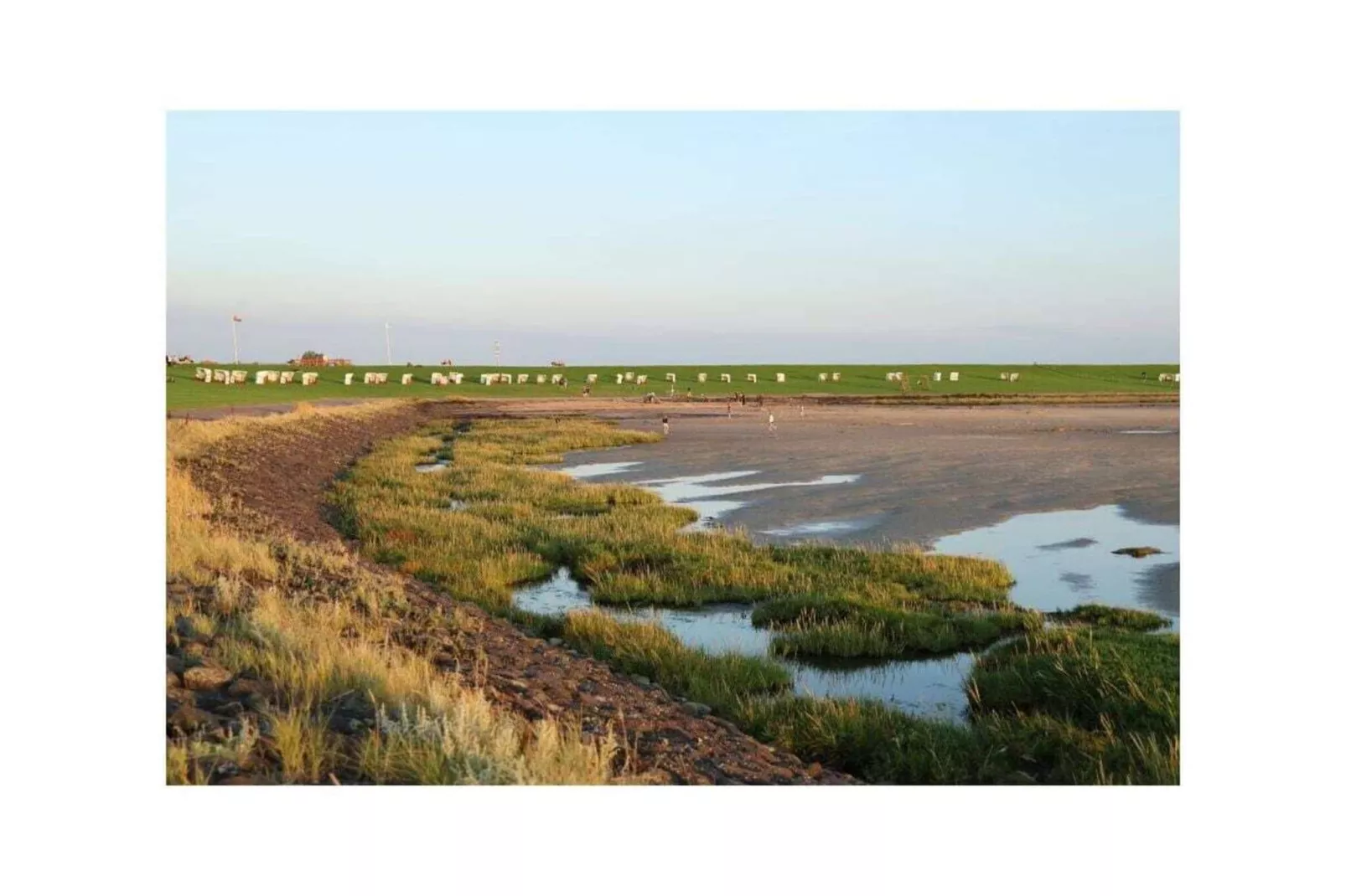 487221-Gebieden zomer 5km