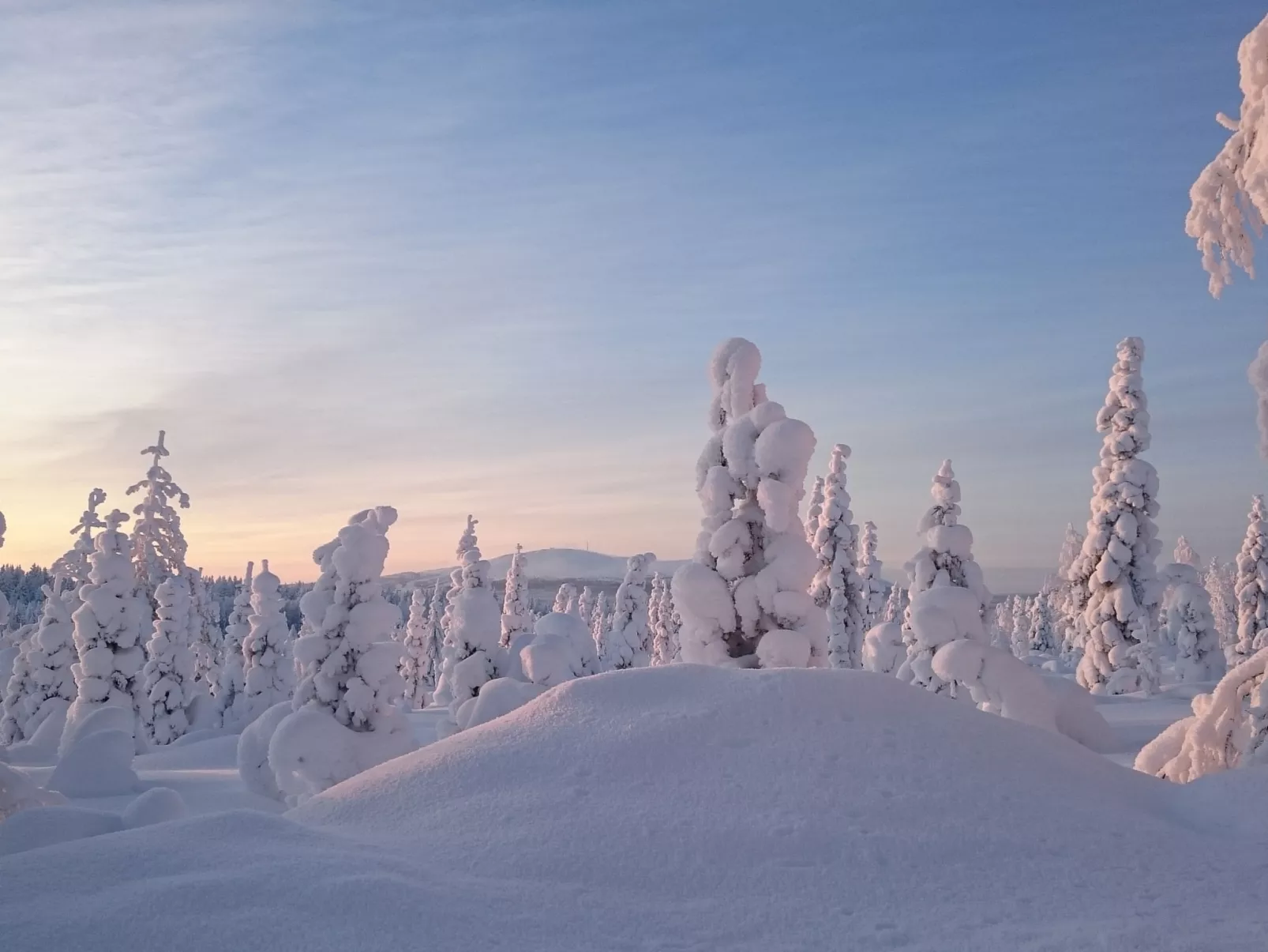 Yllästar 3 as 601-Binnen