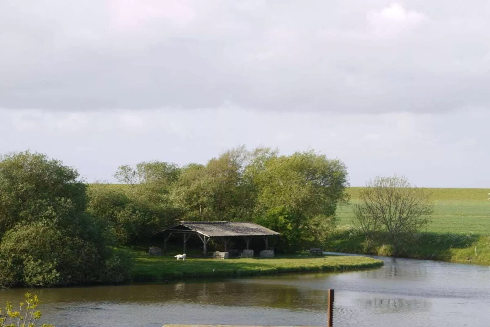 97815-Image-tags.water view