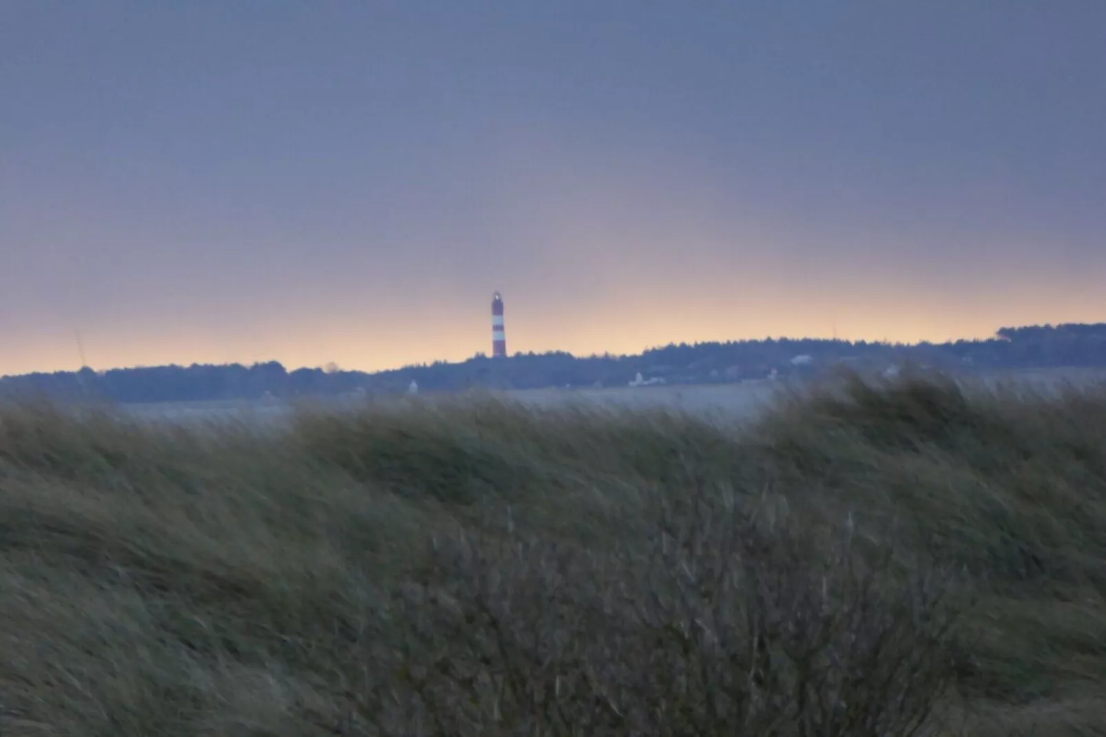 411894-Gebieden zomer 1km