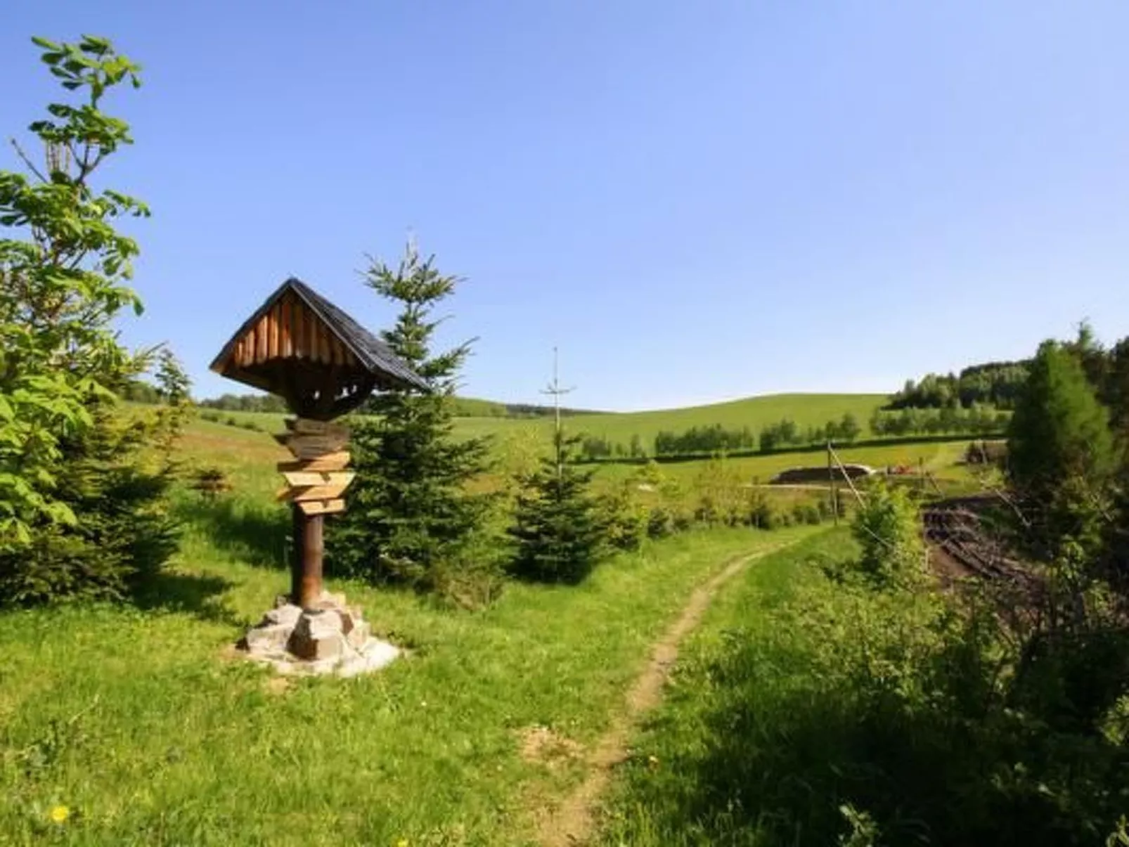 Fewo Katzengold-Image-tags.info