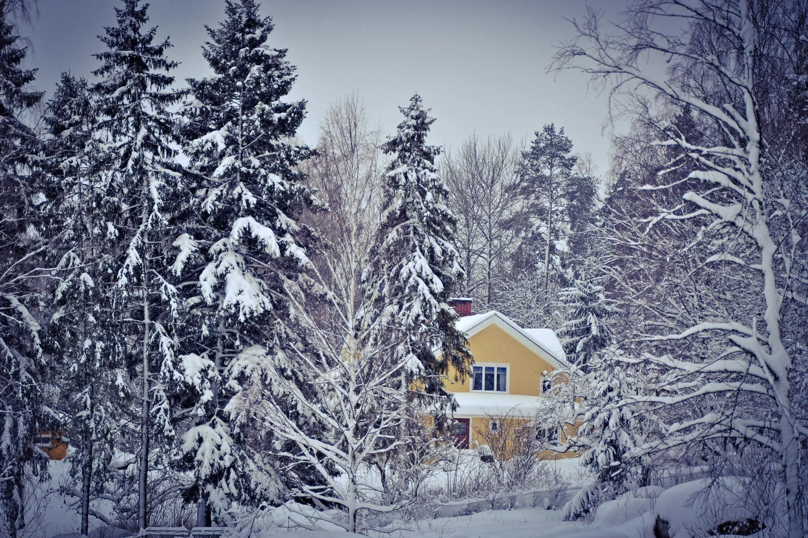 The Farm-Exterieur winter