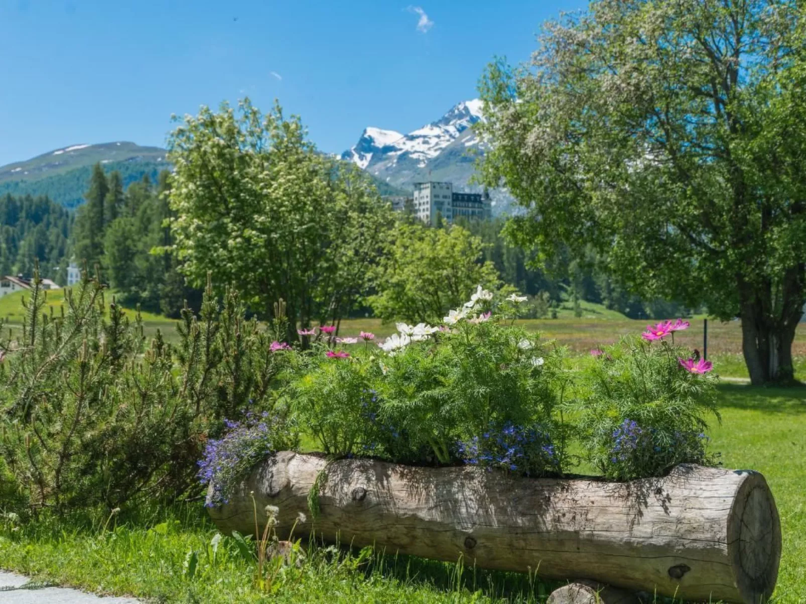 Chesa Flur Sulagl 1 - Image-tags.info