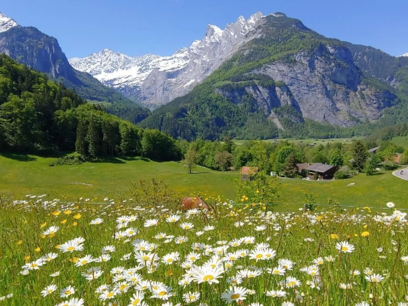 Wohnung Mit 2 Schlafzimmern “Ürbach” - Image-tags.info