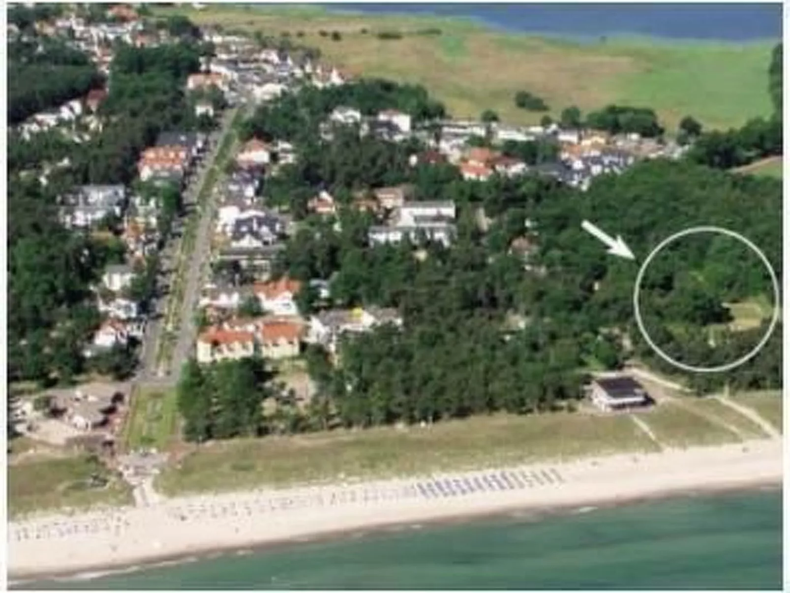 Adlerhorst in Ostseebad Baabe - Buiten
