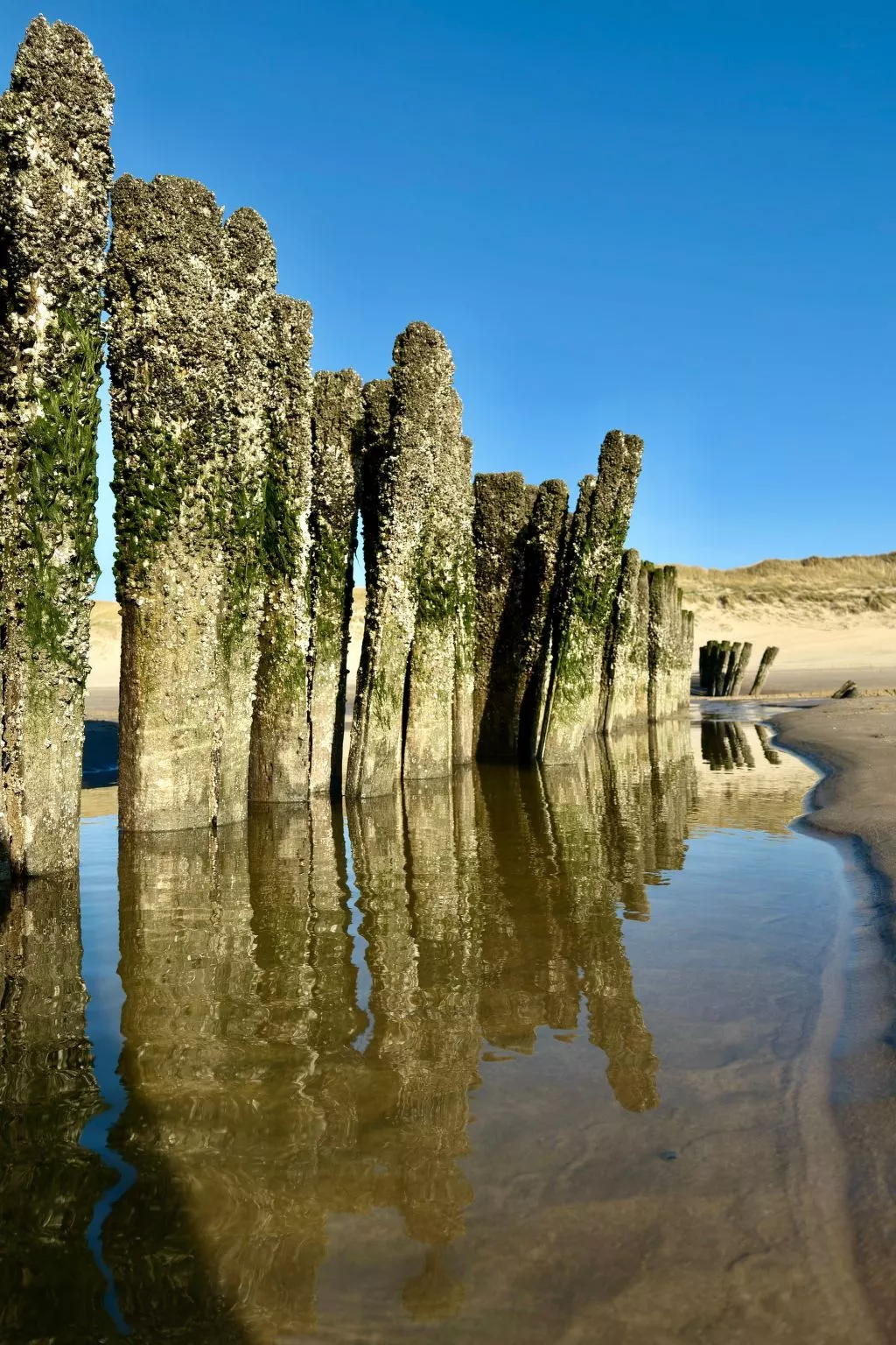 Rekerlanden 174 - Buiten