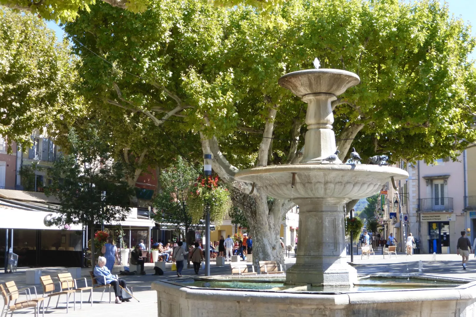 Ferienhaus in Vaison-la-Romaine-Gebieden zomer 5km