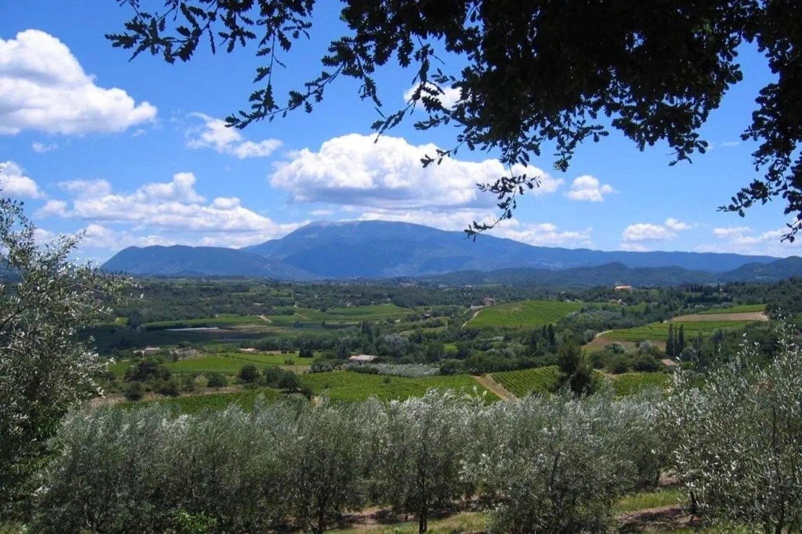 Ferienhaus in Vaison-la-Romaine-Gebieden zomer 20km