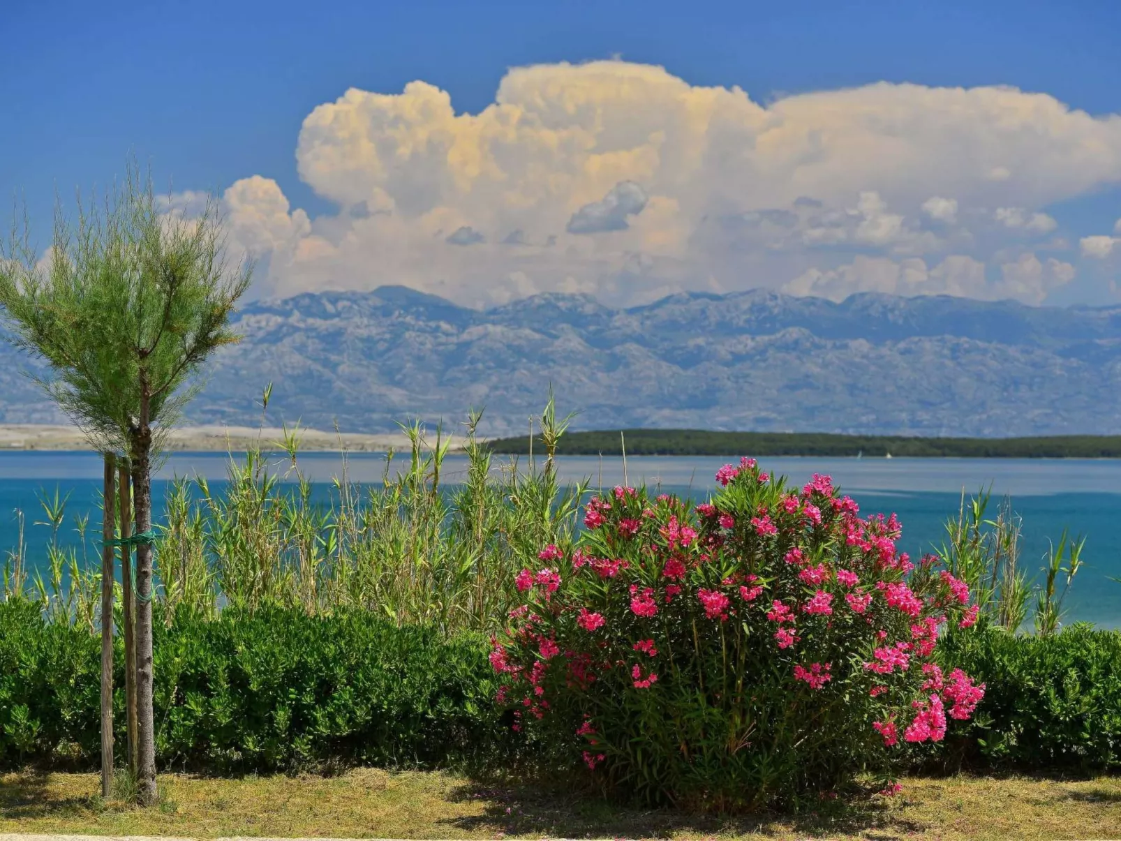 "Lipa" mit Schwimmbad - Image-tags.info