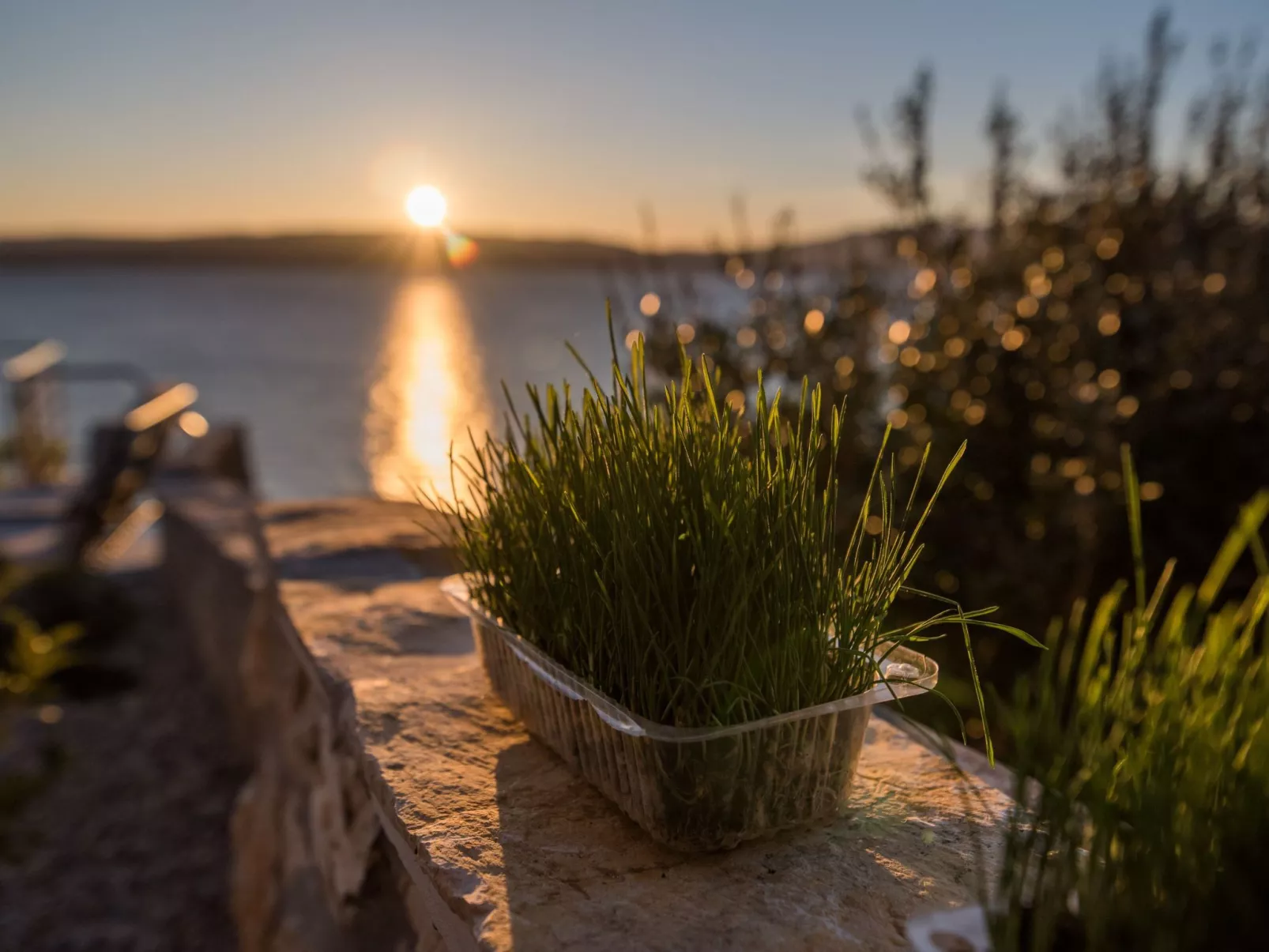 "Natura" direkt am Strand - Image-tags.info