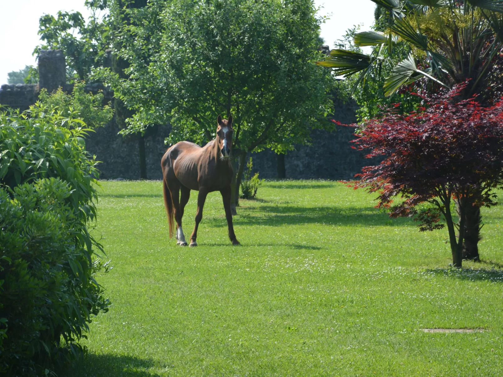 Apartment "Magalita" - Image-tags.info