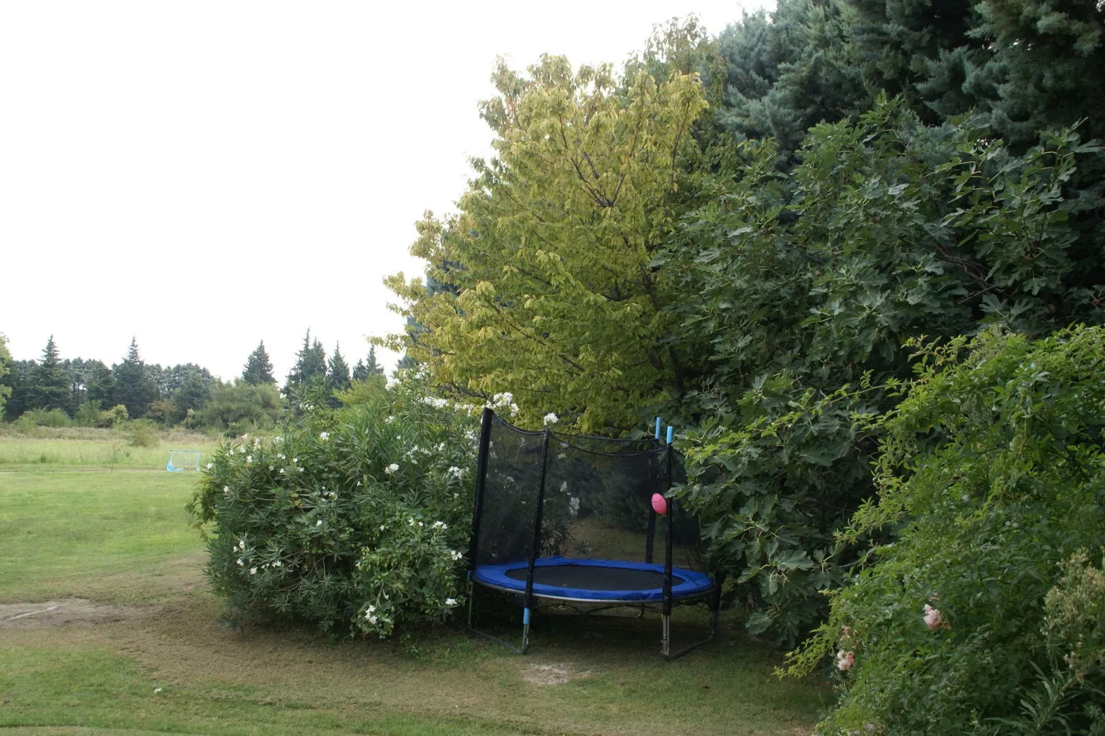 Maison de vacances Le Thor-Tuinen zomer