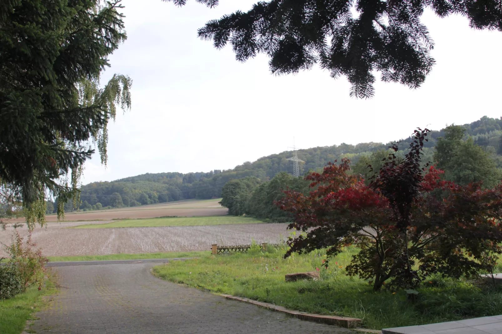Gästehaus Kühne Fewo 2 DG-Uitzicht zomer