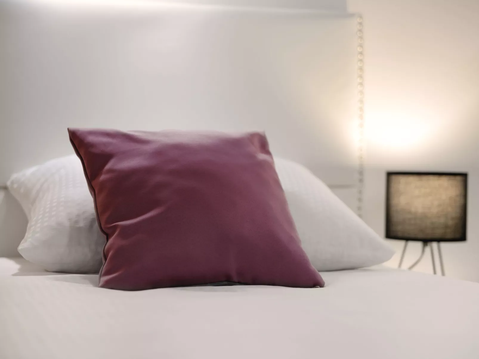 Premium DC apartment Osijek - Binnen